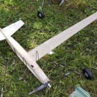 01-toni-borer-f2g-all-wood